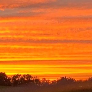 Meet your Posher, Mecia